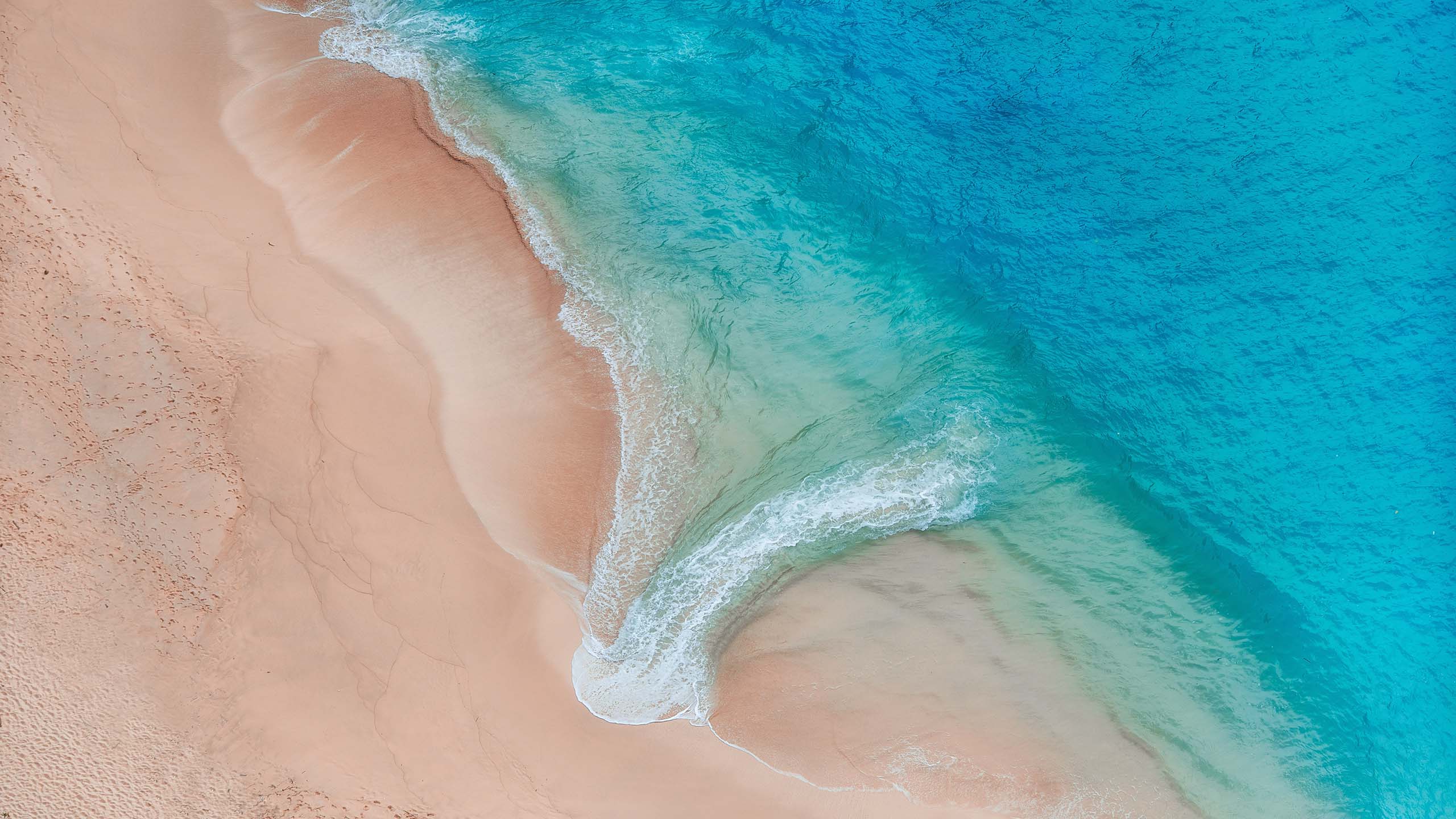 Coastline